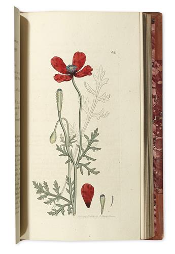 (BOTANICAL.) Sowerby, James; and Smith, James Edward. English Botany; Or, Coloured Figures of British Plants.